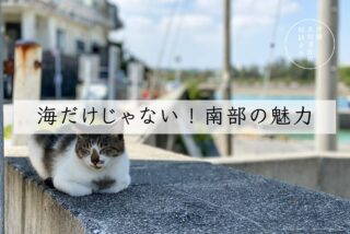 沖縄　南部　奥武島　猫